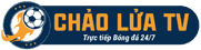 vợt